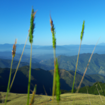 A World With thousand Dreams – I